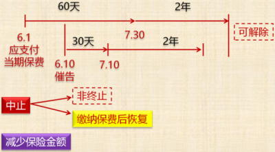 中級會計師《經濟法》知識點：投保人的義務