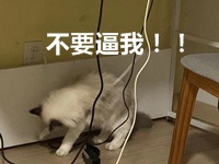 前方高能！距離2020年注會考試你的學習時間僅剩1個月？