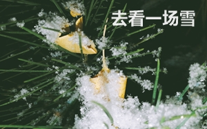 注會考生最牛X的幾個瞬間 句句戳中你的心！