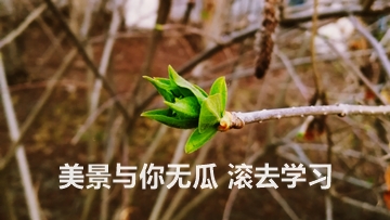 為了高考 我們不能只讀高三！為了考過(guò)CPA 也不能只等4月份！