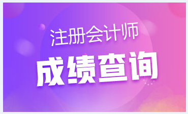 海南注會成績查詢入口開通了