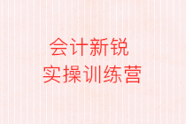 會計職場新人生存指南 教你練就讓老板刮目相看的能力！