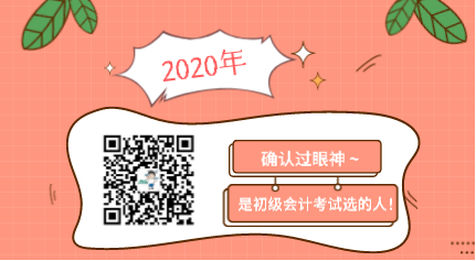 確認過眼神 是2020年初級會計考試選的人！