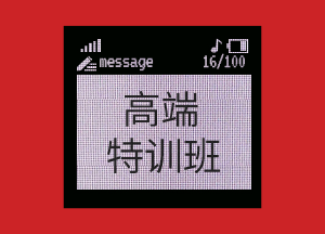 正保會計網校USCPA高端特訓班可享受哪些服務？