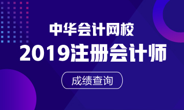 山東2019年注冊會計師官網成績查詢入口是哪個？