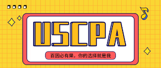 【USCPA】會計人常說的“四大”指的是什么？ (2)