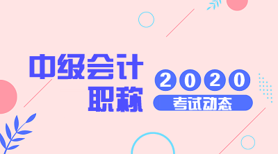 2020新疆中級會計職稱考試科目都是什么？