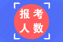 報考人數