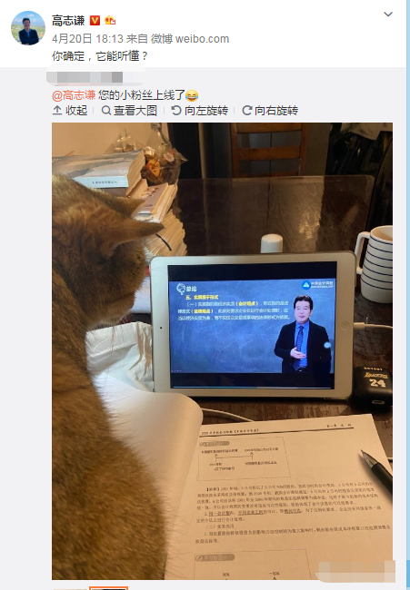 喵星人都聽高志謙老師的課！你還再等什么？