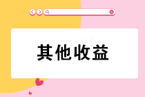“其他收益”會計科目只核算政府補助？錯！錯！錯！