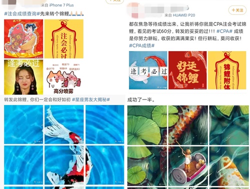 注會考生的端午節迷惑行為大賞
