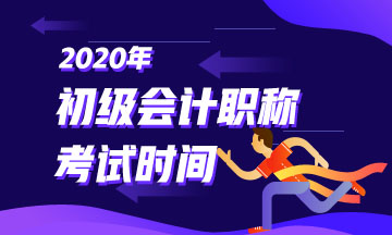 四川省會計初級什么時候考試2020？