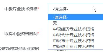 中級專業技術資格