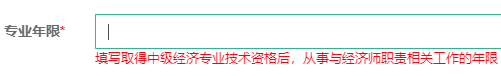 專業工作年限