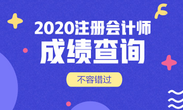 2020天津CPA成績查詢相關信息