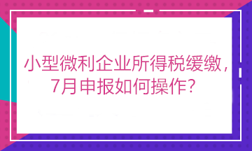 小型微利企業所得稅緩繳，7月申報如何操作？看這里！