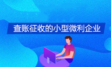 查賬征收的小型微利企業如何享受所得稅緩繳政策？怎么填報申報表？
