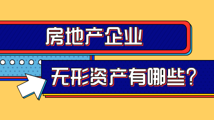 房地產企業無形資產
