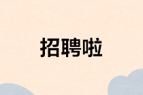 面對當前就業壓力大的情況，會計專業學生該如何選擇？