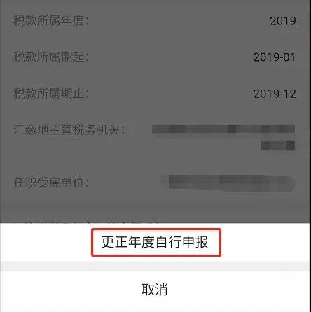 更正年度自行回報(bào)