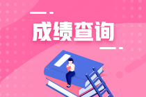 河南2020年資產評估師成績查詢流程公布了嗎？