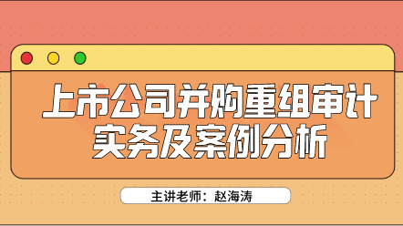 上市公司并購重組審計實務(wù)及案例分析