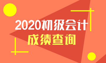 湖南省2020年初級會計成績查詢入口是哪個呢？