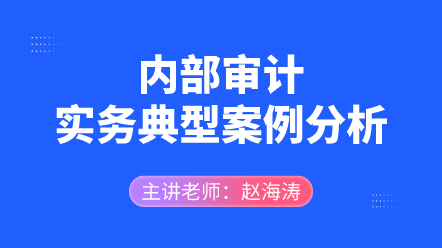 內部審計實務典型案例分析
