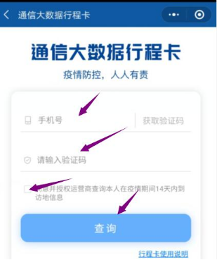 （三）最后輸入自己的手機(jī)號(hào)碼，點(diǎn)擊查詢。
