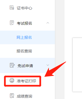 稅務(wù)師考試準(zhǔn)考證打印時(shí)間