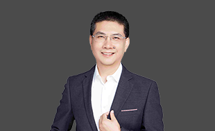 杭建平《公司戰略》