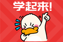 備考2021年審計(jì)師  預(yù)習(xí)階段的學(xué)習(xí)需要全盤掌握嗎？