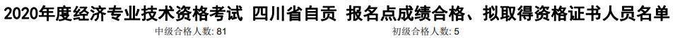 自貢2020年初中級經濟師考試合格人數