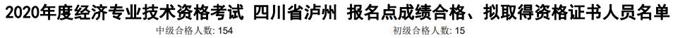 瀘州2020年初中級經濟師考試合格人數