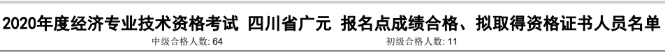 廣元2020年初中級經濟師考試合格人數