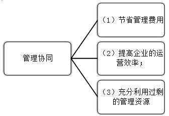 2021高會《高級會計實務》考試知識點：發揮協同效應