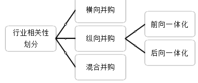 2021高會《高級會計實務》考試知識點：企業并購類型（二）