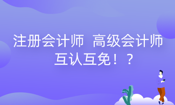 河南注冊會計師 高級會計師互認互免政策來了！