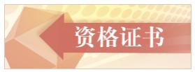稅務(wù)師電子證書