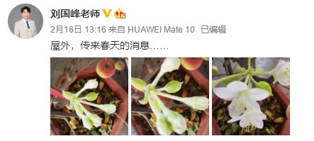 網(wǎng)校中級(jí)會(huì)計(jì)老師齊“報(bào)春” 花式催學(xué)你招架得住嗎？
