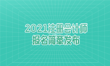 重大消息：2021年注冊會計師報名簡章發布
