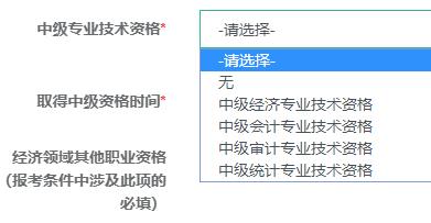 中級專業技術資格