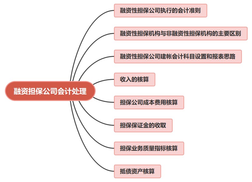 金融公司財務人員必看！融資擔保公司會計處理