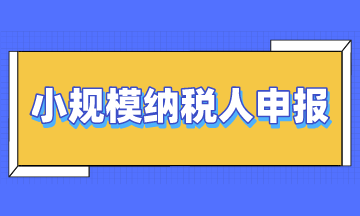 小規模納稅人申報時注意4大要點