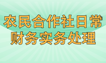 農民專業合作社日常財務實務有哪些處理？