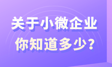 關于小微企業，你知道多少？