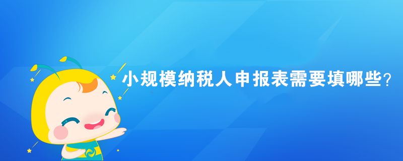 小規模納稅人申報表需要填哪些？