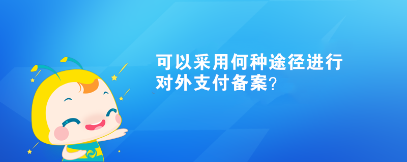 可以采用何種途徑進行對外支付備案？