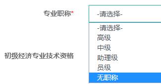 專業職稱