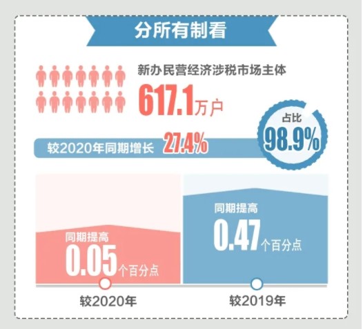 2021上半年新辦涉稅市場主體有哪些亮點？為你揭秘